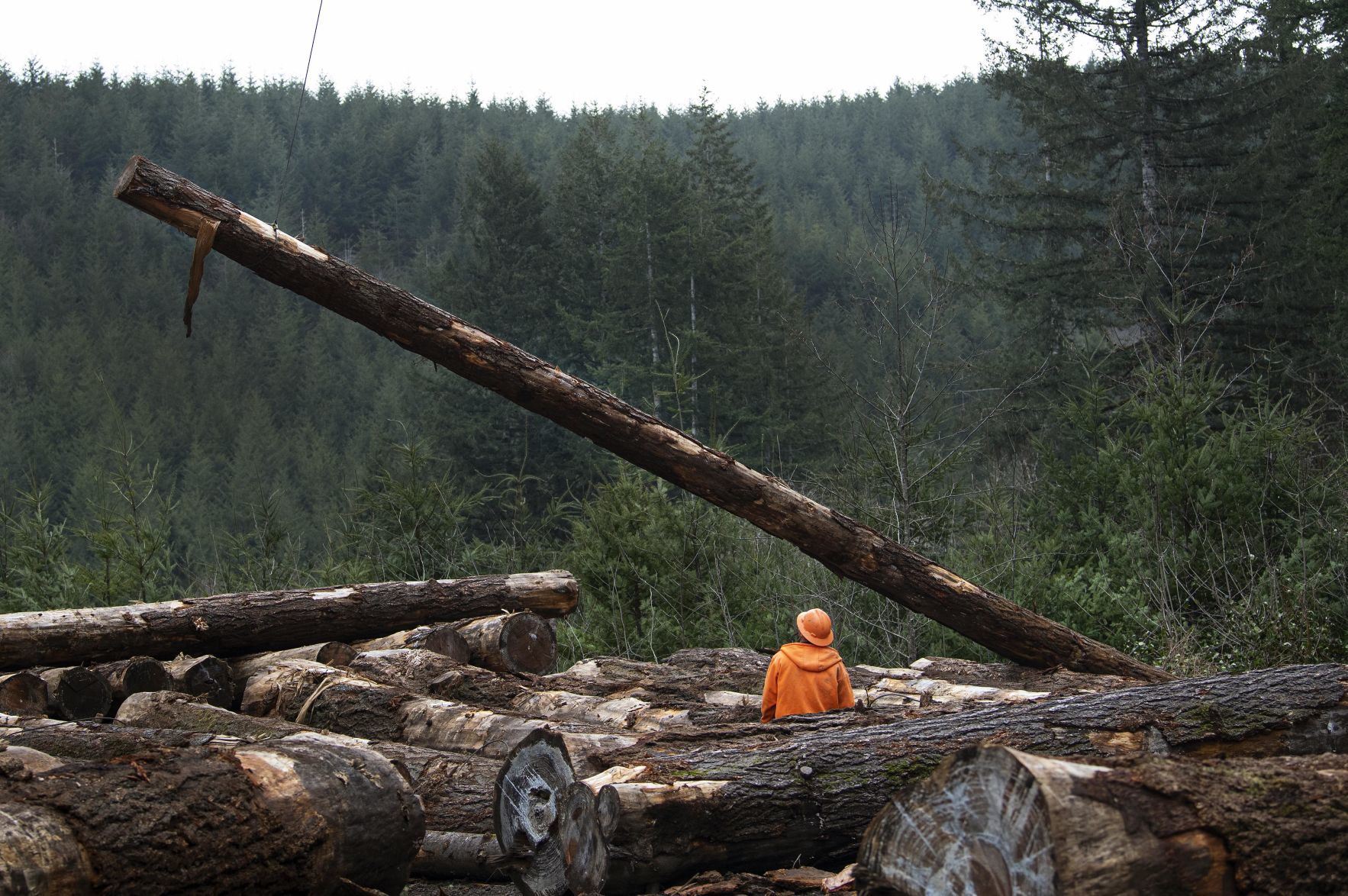 Log lift